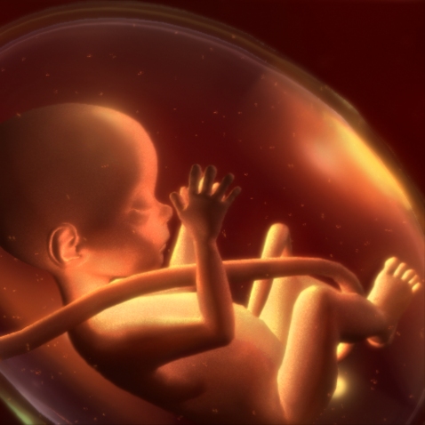 an unborn life has value